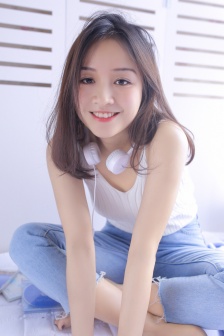 屋顶的大象